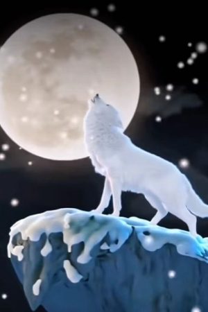 Moonlight Wolf King